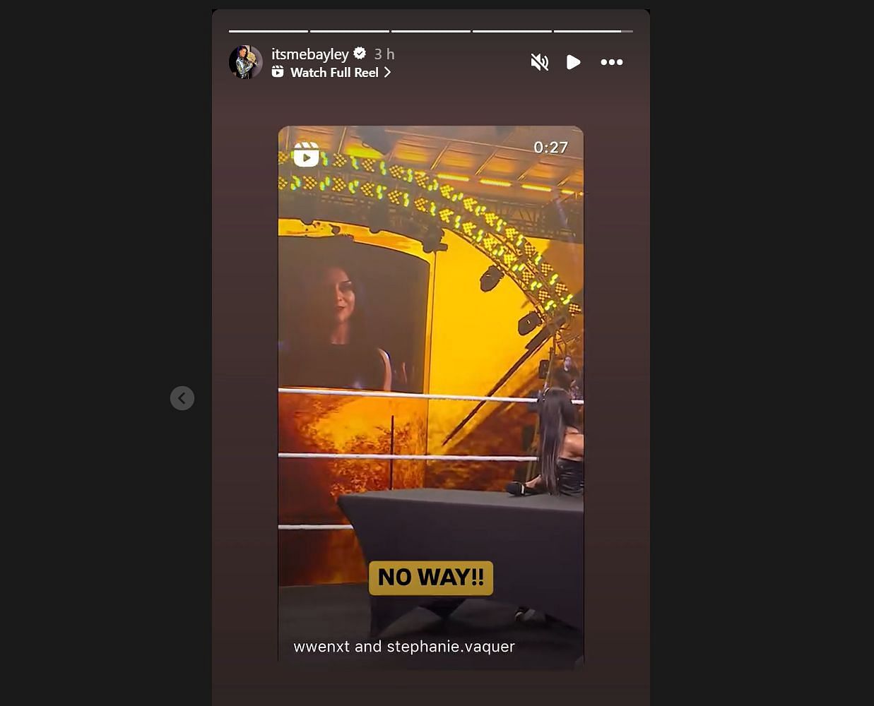 Screengrab of Bayley's Instagram story (Credit: Bayley's Instagram)